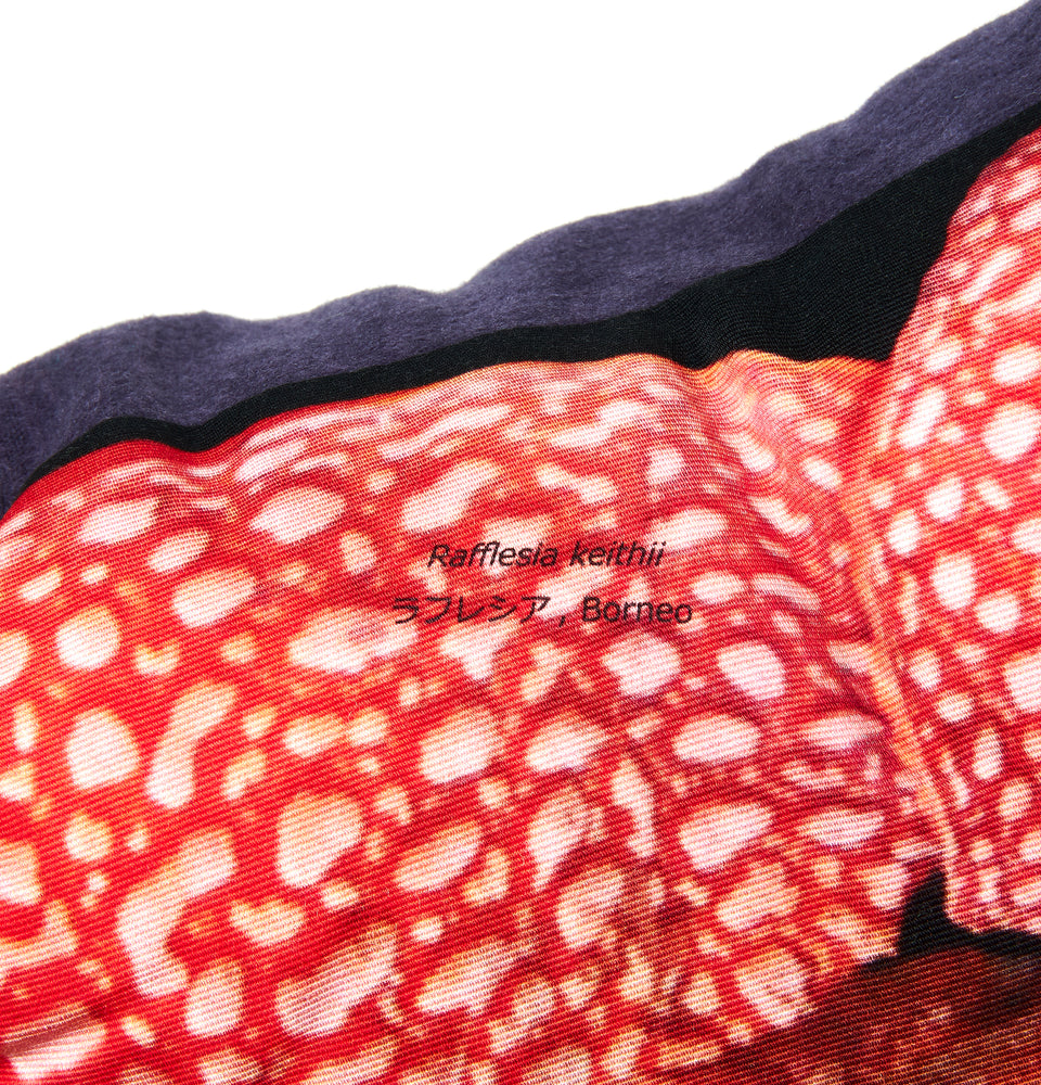 
                  
                    Load image into Gallery viewer, Rafflesia keithii
                  
                
